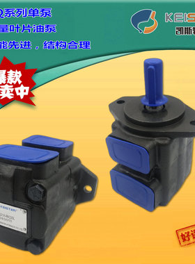 代替VICKERS威格士25VQ-21A/10A/12A/14A/15A/17A/19A-1C叶片油泵