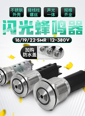 金属蜂鸣器 19mm 22mm不锈钢闪光报警器16mmLED声光报警器24v 12v