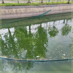 垃圾清理江河青苔浮萍拦截河道拦污网神器网捞水草水库水葫芦打捞