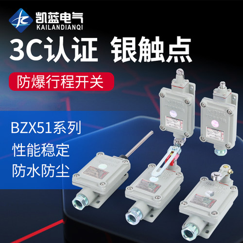 防爆行程开关限位B型BZX51-5Z/L/N/S/T DLXK15脚踏双踏柱塞滚轮