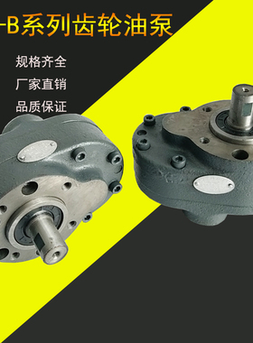 CB-B25 CB-B63齿轮油泵 CB-B50 CB-B100 CB-B125 CB-B80 CB-B32