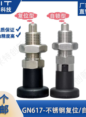 GN617/SXYK冈特旋钮柱塞分度销弹簧分割固定位柱MT307F/MT306Z