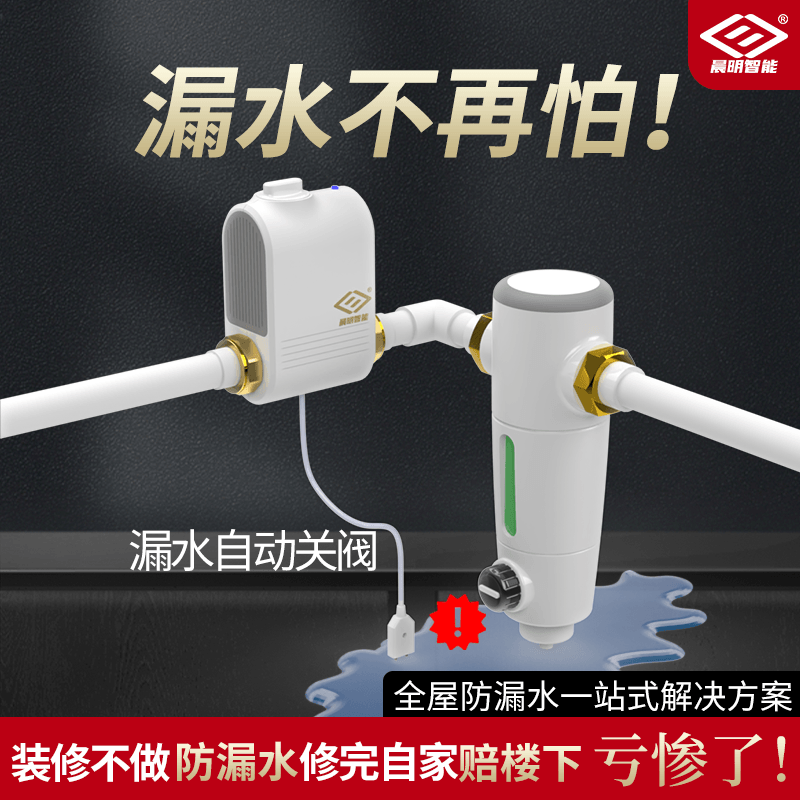 入户智能电动总阀远程开关防漏水保护器自动关闭水阀涂鸦球阀水阀