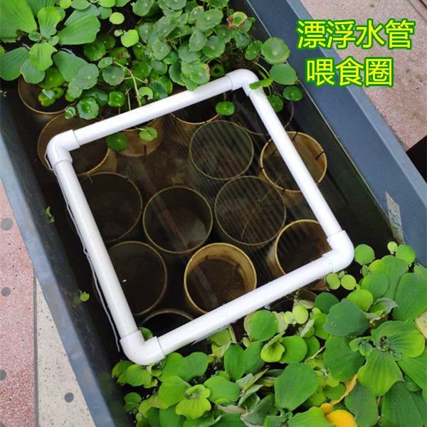 鱼缸投食圈乌龟漂浮喂器