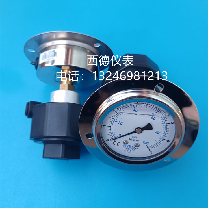 轴向带边嵌入式隔膜压力