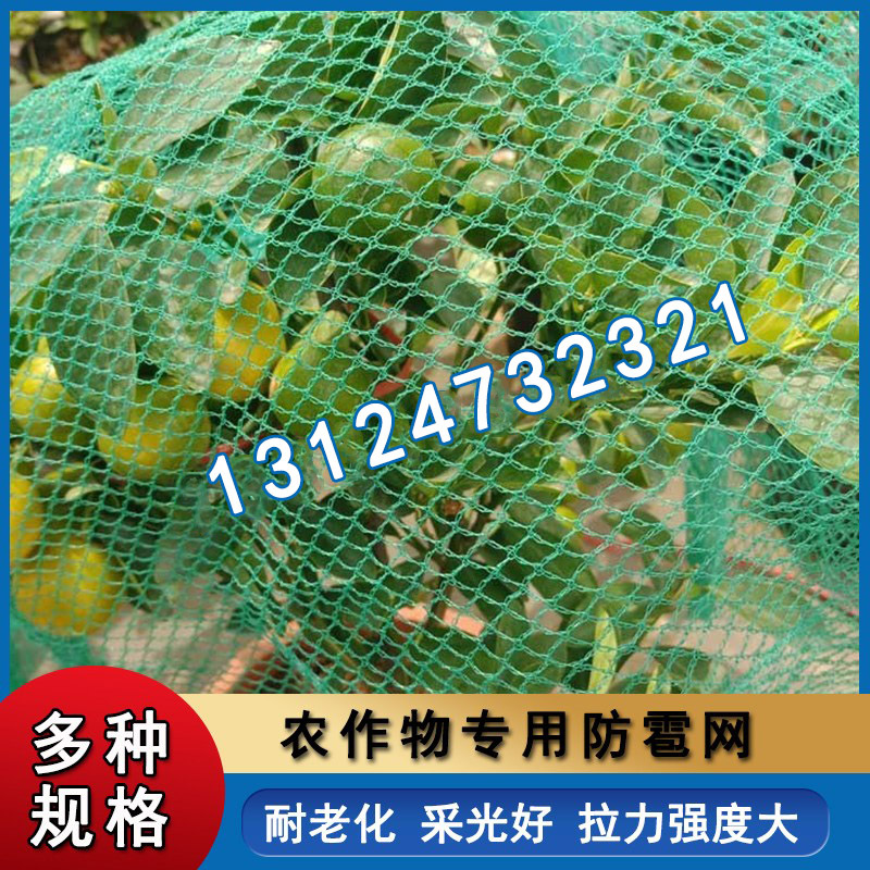 防雹网葡萄樱桃家用网防鸟绿色防鸟网罩樱桃果树果园防护罩