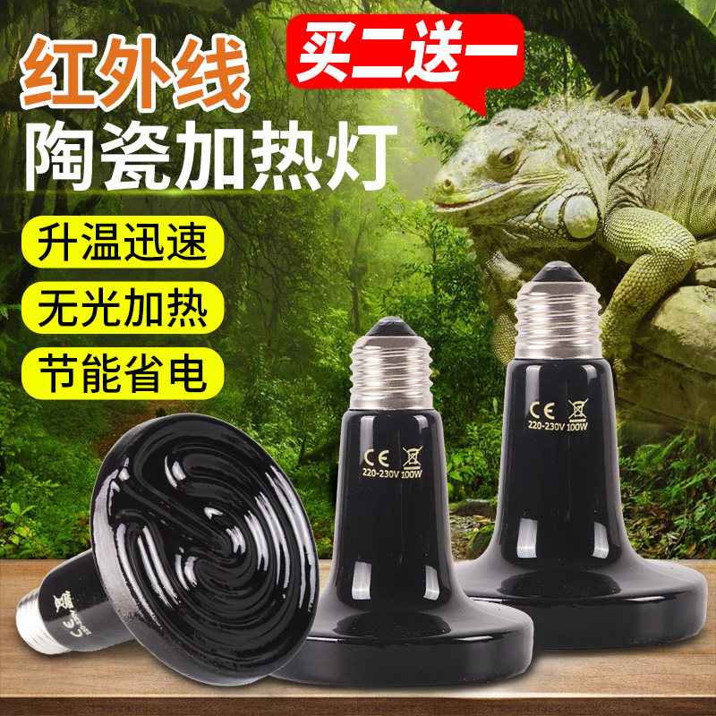 爬宠陶瓷加热灯泡爬宠宠物乌龟刺猬陆龟蜥蜴鹦鹉蛇取暖加温保温灯,鲜花速递/花卉仿真/绿植园艺,洒水/浇水壶,淘宝优惠券,粉丝福利购,淘宝优惠卷
