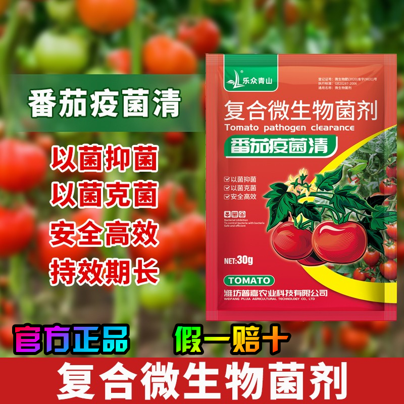 乐众青山番茄疫菌清病菌清微生物菌炭疽灰霉白粉果腐黑斑早疫蕃通