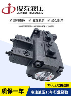 JUNTAI俊泰VP-DF-15/08/15/08/12/20/15/30/30/40/40 D B C双联泵