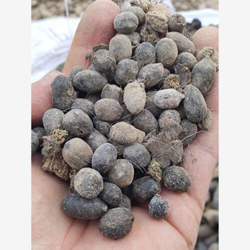 斤羊粪肥发酵无臭有机生