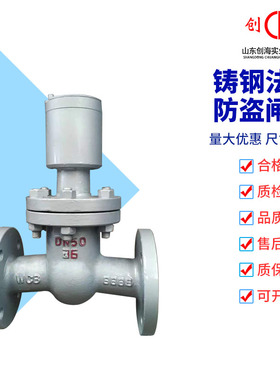 FDZ45H-16C隐形锁防盗阀法兰硬密封防盗闸阀DN65 80 125 200 250