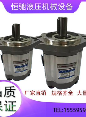 高压齿轮油泵CBK1012 CBK1016 CBK1020 CBK1025-B1FR B1FL A1FR