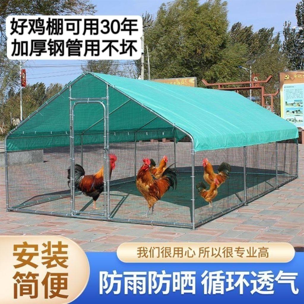户外鸡棚鸡笼养鸡鸽笼家禽大型孔雀挡风防雨遮雨鸡舍搭建家用养殖