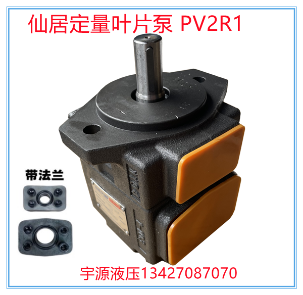 BCHM仙居定量叶片泵PV2R1-17F 19 14 23 10 12 25 31 28 10-F油泵