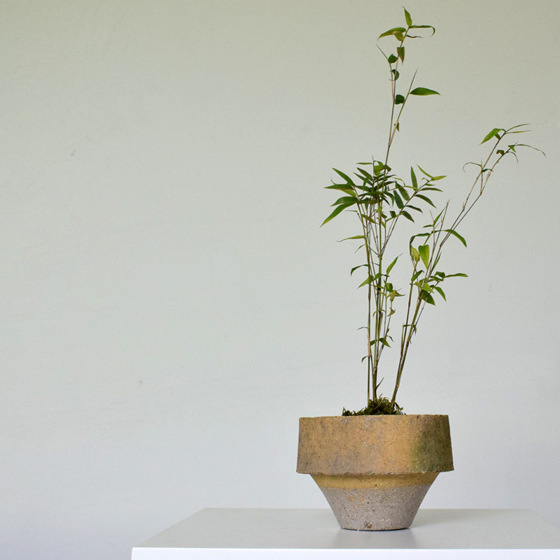 景德镇复古粗陶竹子花卉花盆桌面透气块根植物盆菖蒲苔藓盆红陶