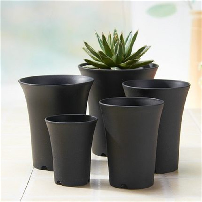 花盆多肉万象小栽仿紫砂