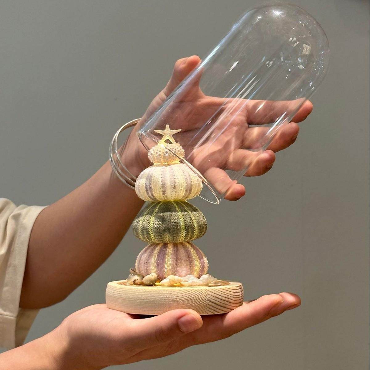 贝壳海胆小夜灯diy手工创意摆件卧室床头护眼氛围感台灯礼物七夕