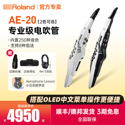 罗兰电吹管AE20/30中老年初学者