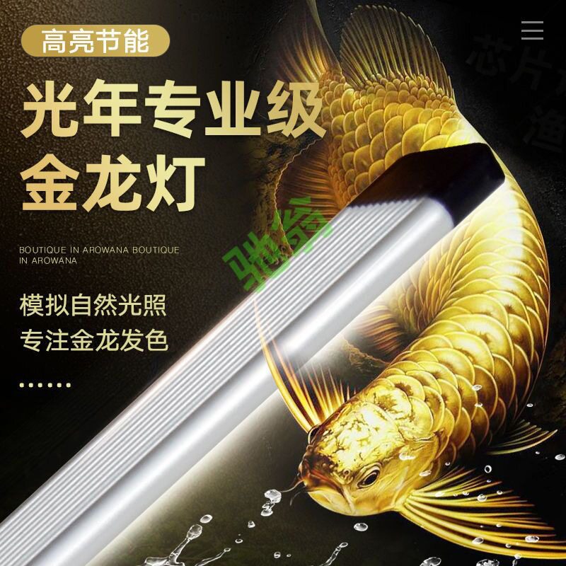 yut光年金龙灯三基色龙鱼灯led灯增色防水发色灯潜水灯超亮金龙专