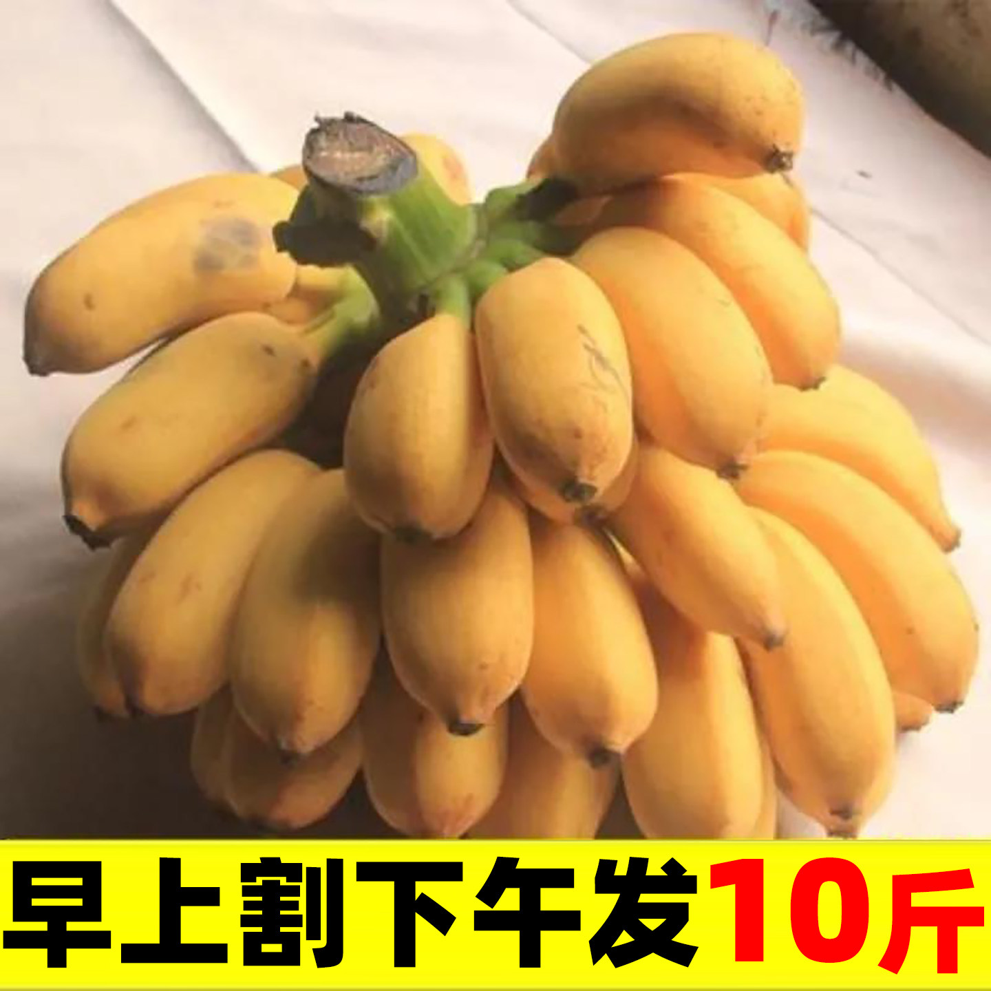 正宗小米蕉广西香蕉当季新鲜水果现摘整箱自然熟孕妇农家苹果粉蕉