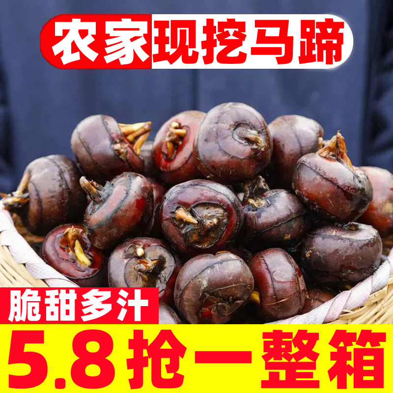 【天猫严选】新鲜现挖马蹄果精选