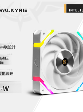 瓦尔基里(VALKYRIE）X12 VK FDB轴承 扇叶二次动平衡12CM机箱风扇