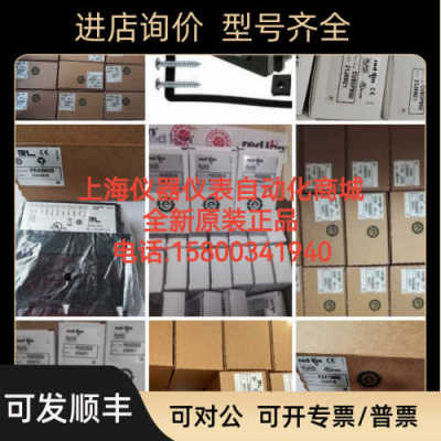 redlion红狮仪表PAXD0010PAXP0000PAXP0010PAXT0000