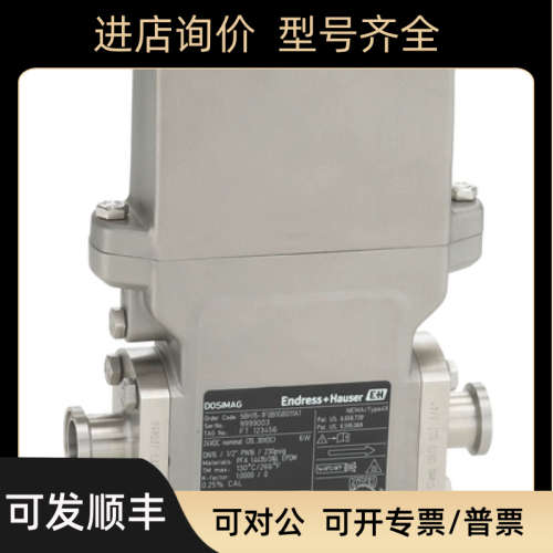 E+H罐装电磁Dosimag 5BH04流量计5BH08 5BH15过程仪表5BH22 5BH26
