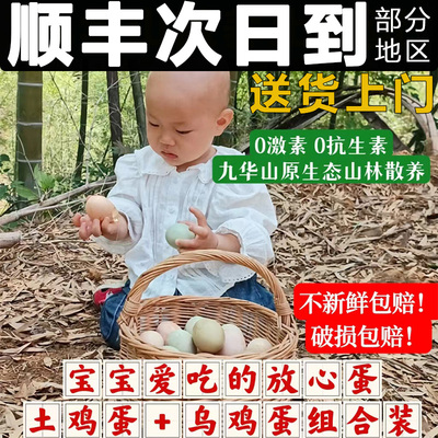 正宗九华山皖南山林散养土鸡蛋绿壳乌鸡蛋4：1组合新鲜农家土鸡蛋