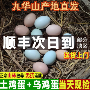 九云仙新鲜正宗农家散养土鸡蛋绿壳乌鸡蛋九华山草鸡蛋宝宝健康蛋
