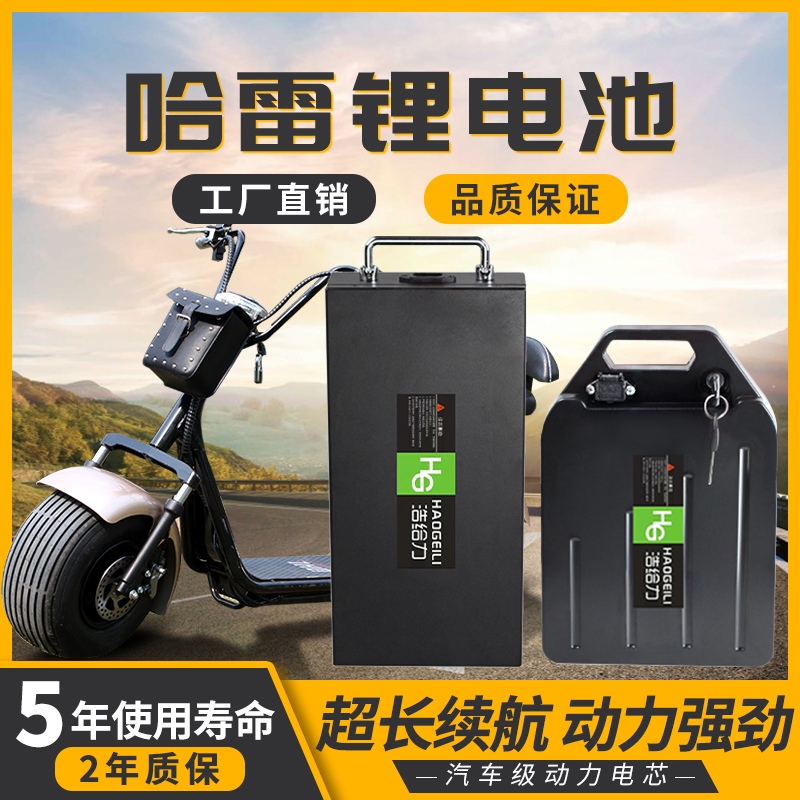 60V12AH20AH哈雷电动车大容量锂电池64V15AHx7X9可拆卸电瓶