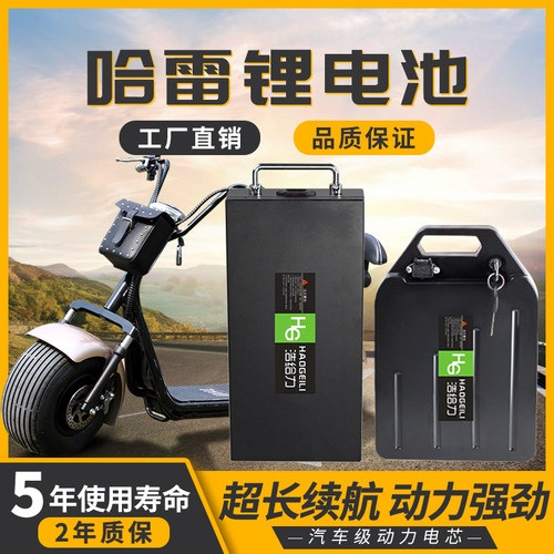60V12AH20AH哈雷电动车大容量锂电池64V15AHx7X9可拆卸电瓶