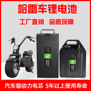 哈雷电动车锂电池60V20A可拆卸电瓶启牛踏板车通用锂电池