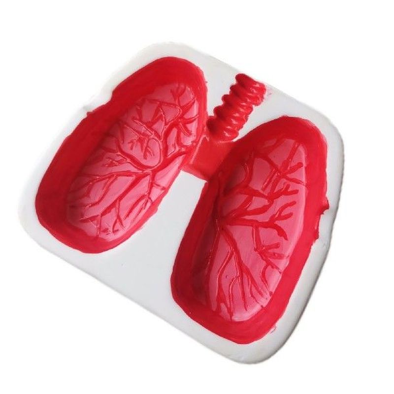 Lung Shaped Ash Tray Cool Ashtrays For Smoking Funny