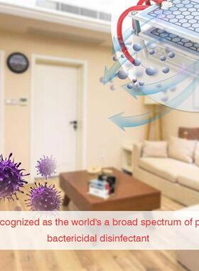 Professional 10g/h Ceramic Ozone Generator Double Integrated