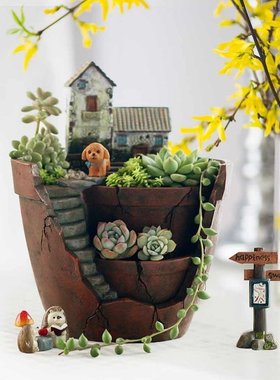 Sky Garden Micro Landscape Flower Pot Planter Bonsai Succule