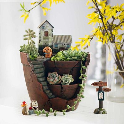 Sky Garden Micro Landscape Flower Pot Planter Bonsai Succule
