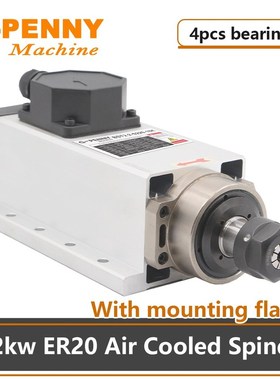 CNC spindle Motor Air cooling  220v 2.2kw ER20 Air cooled sp