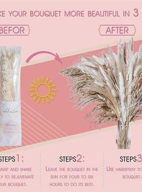 80PCS Natural Dried Pampa Grass Bouquet,Boho Home Decor Bouq