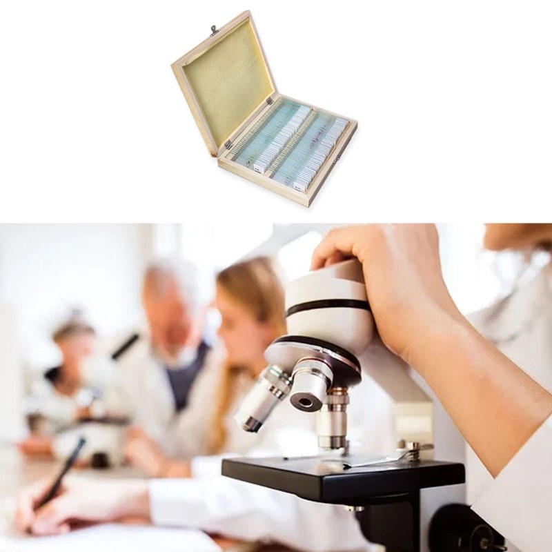 11UA Prepared Microscope Slides Set Professional Specimens C