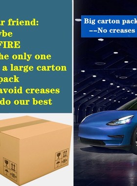 BAFIRE 3D Foot Pad For Tesla Model 3 Model Y Custom Floor Li