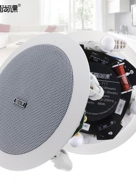 20W 5 Inch Coaxial Fixed Resistance Radio High Fidelity Ceil