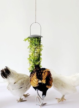 Chicken Feeder Basket Vegetable Fruit Veggie Hanging Coop He