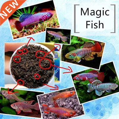 Fi Tank For Hatching Killifi Eggs Brine rimp Artemia U