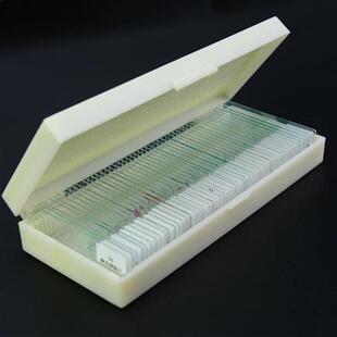 50 PCS Prepared Basic Science Microscope Slides Learning Res
