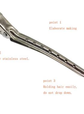 10pcs Hair Care Clips Stainless Steel Hairdressing Sectionin