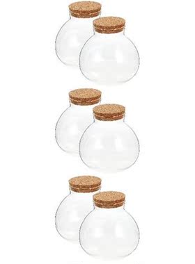 6 pcs  Sealed Clear Terrarium Glass Bottle Microlandscape