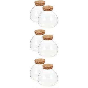6 pcs Sealed Clear Terrarium Glass Bottle Microlandscape