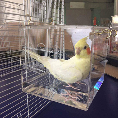 Transparent Birds Bath Bathtub Acrylic for Caged Birds