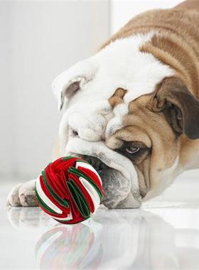 Dog Sniffing Molars Ball Chew Tooth Cleaning Slow Food